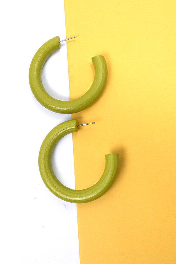 Wood Hoop Earrings-Green